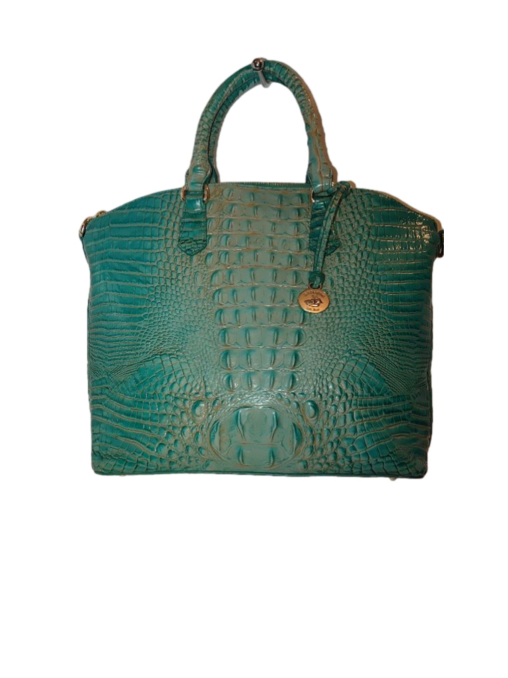Brahmin Large Duxbury Iguana Satchel